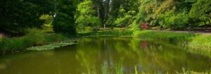 Botaniska trädgården i Lund